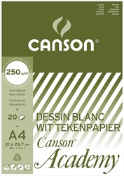 Canson papier à dessin Academy, 250 g, ft 21 x 29,7 cm, A4, bloc de 20 feuilles