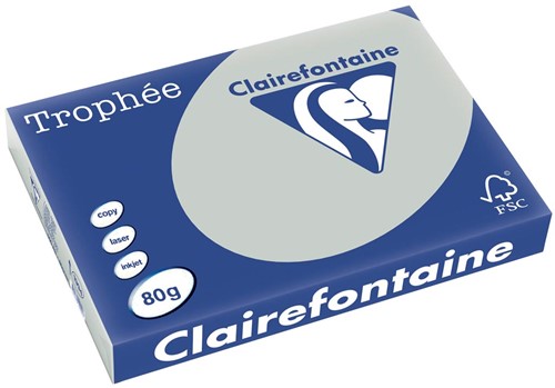 Clairefontaine Trophée Pastel, papier couleur, A3, 80 g, 500 feuilles, gris clair
