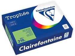 Clairefontaine A4 210g grasgroen 2208 FSC