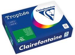 Clairefontaine A4 210g biljartgroen 2215 FSC
