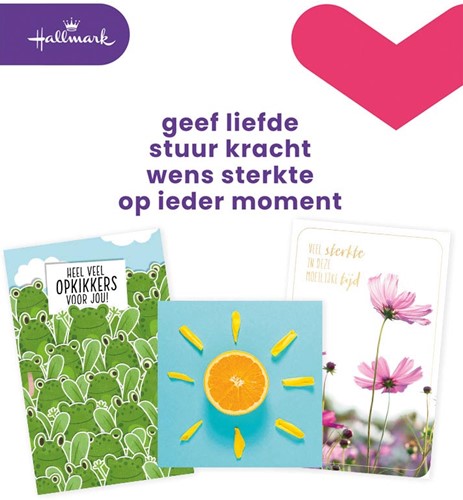Hallmark set de recharge cartes de souhaits, courage (NL), paquet de 12 pièces