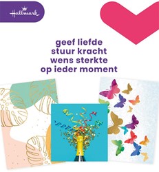 Hallmark set de recharge cartes de souhaits, vierge (NL), paquet de 8 pièces