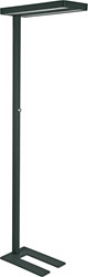 MAULjuvis lampadaire, LED, noir