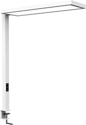 MAULsenja lampadaire, LED, blanc