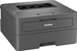 Brother zwart-wit laserprinter HL-L2400DWE